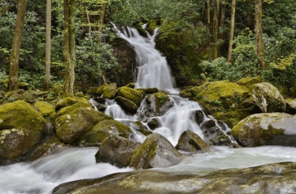 Mouse Creek Falls