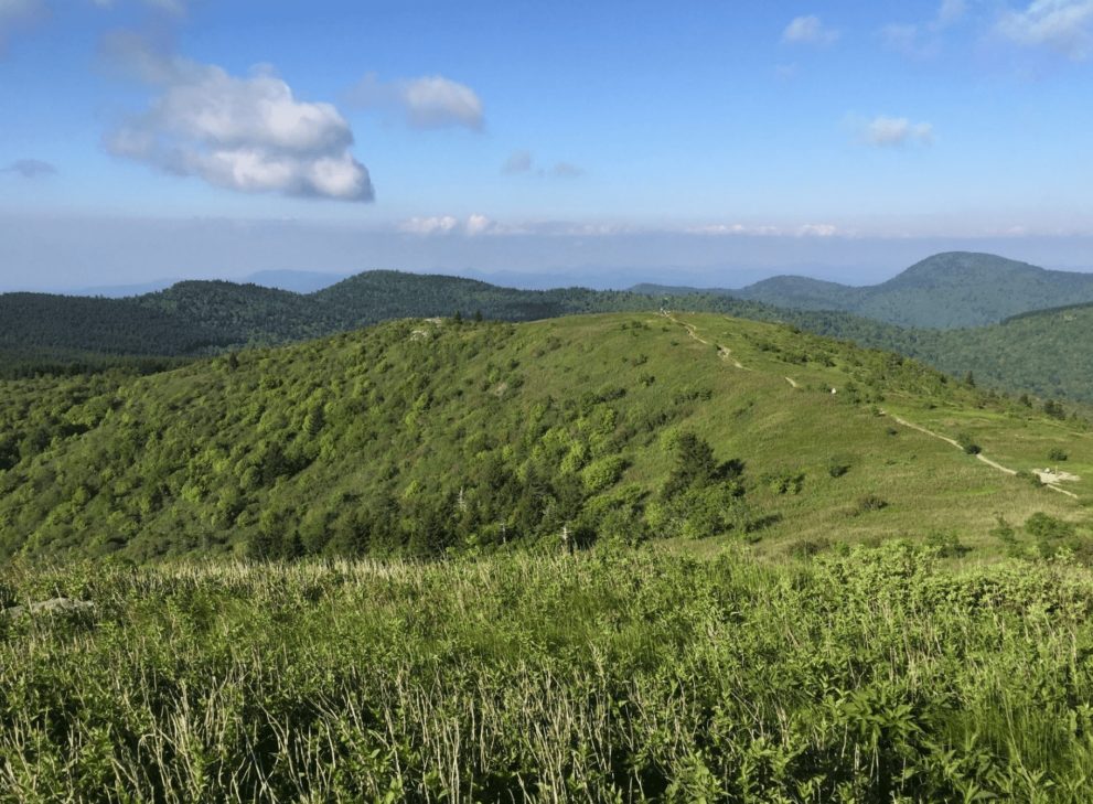 Black Balsam Knob